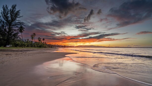Una playa con atardecer, palmeras y mar tranquilo.