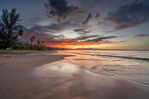 Walk to beach, Pool, close to El Yunque , 24 hr security, parking , pickleball 
