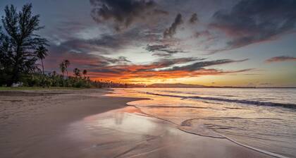 Walk to beach, Pool, close to El Yunque , 24 hr security, parking , pickleball