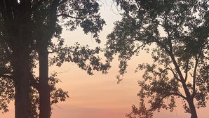 A sunset over a calm lake with trees framing the view. - SEE SOLAR ECLIPSE IN CTR OF PATH AT A BEAUTIFUL LAKEFRONT HOME.  NO CITY LIGHTS! (Cayuga)