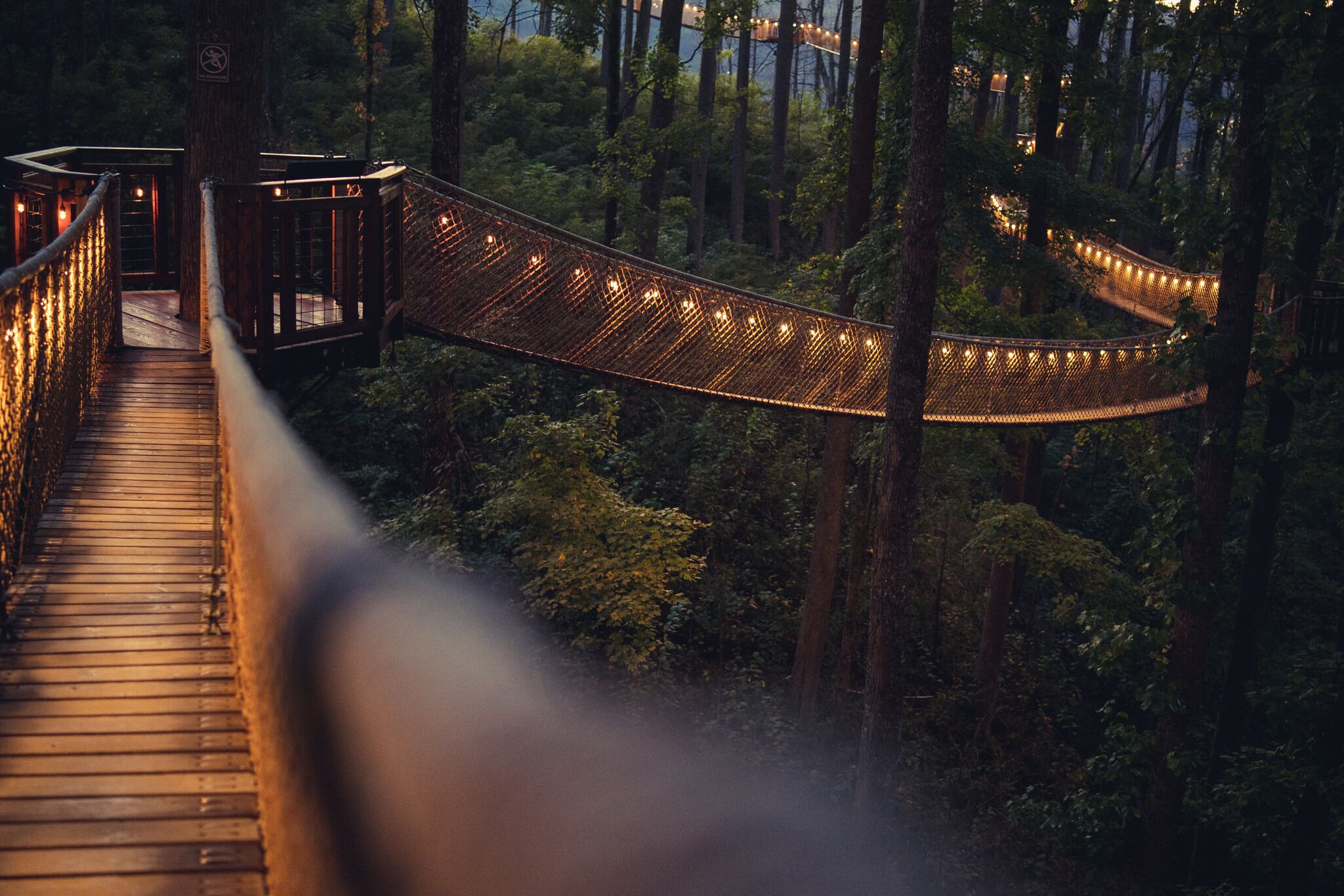 Un puente colgante de madera en un área boscosa, con barandales e iluminación.