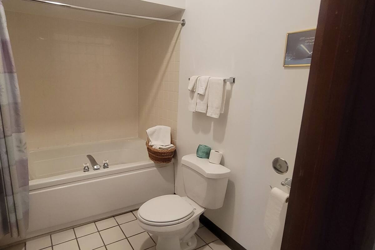 Bañera con ducha, secador de pelo, toallas, jabón