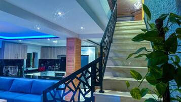 Ein modernes Interieur mit einer Treppe, einem blauen Sofa und einem Blumentopf.