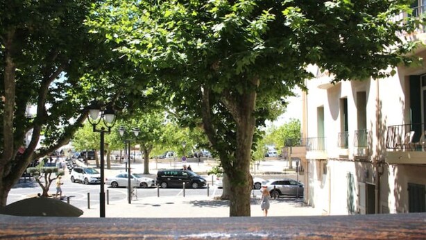 Une vue de rue avec des arbres, des voitures garées et des immeubles.