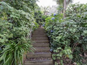 Property grounds - Kiwi Charmer - Onemana Holiday Home (Onemana)