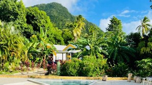 Una piscina rodeada de exuberante vegetación y una montaña al fondo.