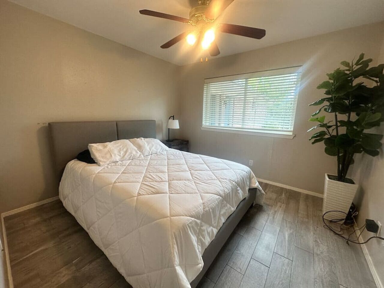 A bedroom with a bed, a ceiling fan, a window with blinds, and a potted plant.