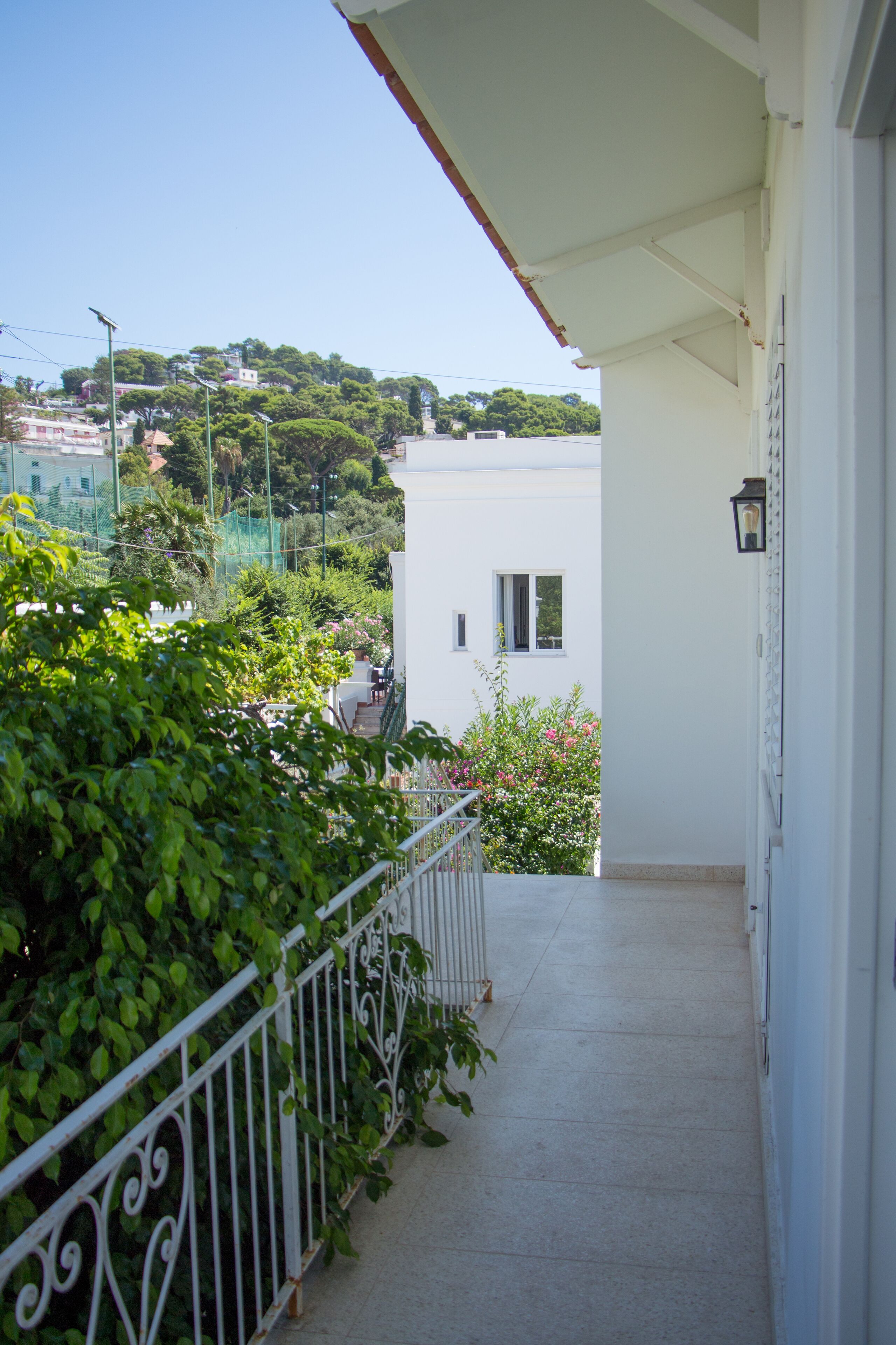A balcony with a white railing, a clear view of the surrounding buildings, and a green bush in the foreground.