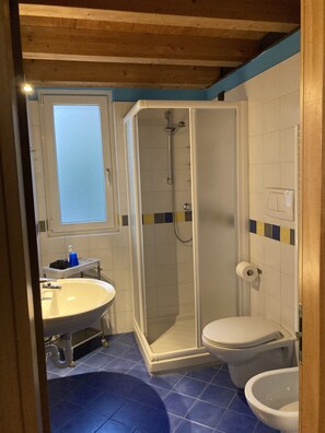 Shower, hair dryer, bidet, towels