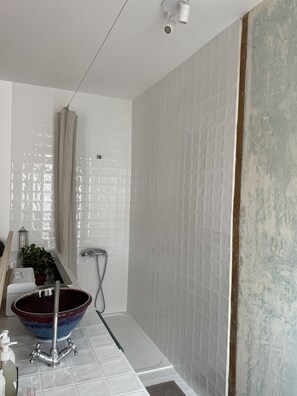 Shower, hair dryer, toilet paper