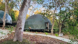 A dome-shaped structure in a forested area with a pathway leading to it.