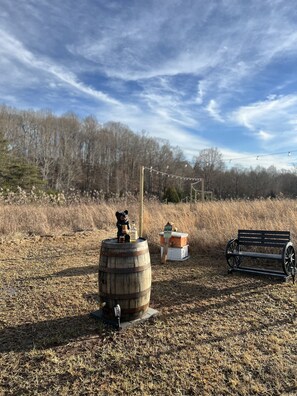 Terrein van de accommodatie