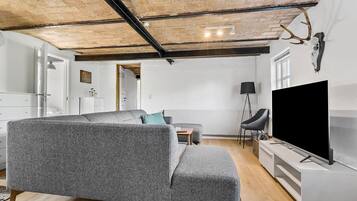 TV connectée, cheminée