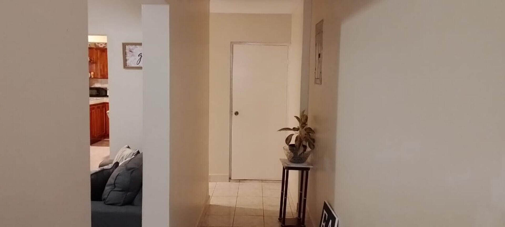 Un corridoio con una porta, una pianta in vaso e un divano.