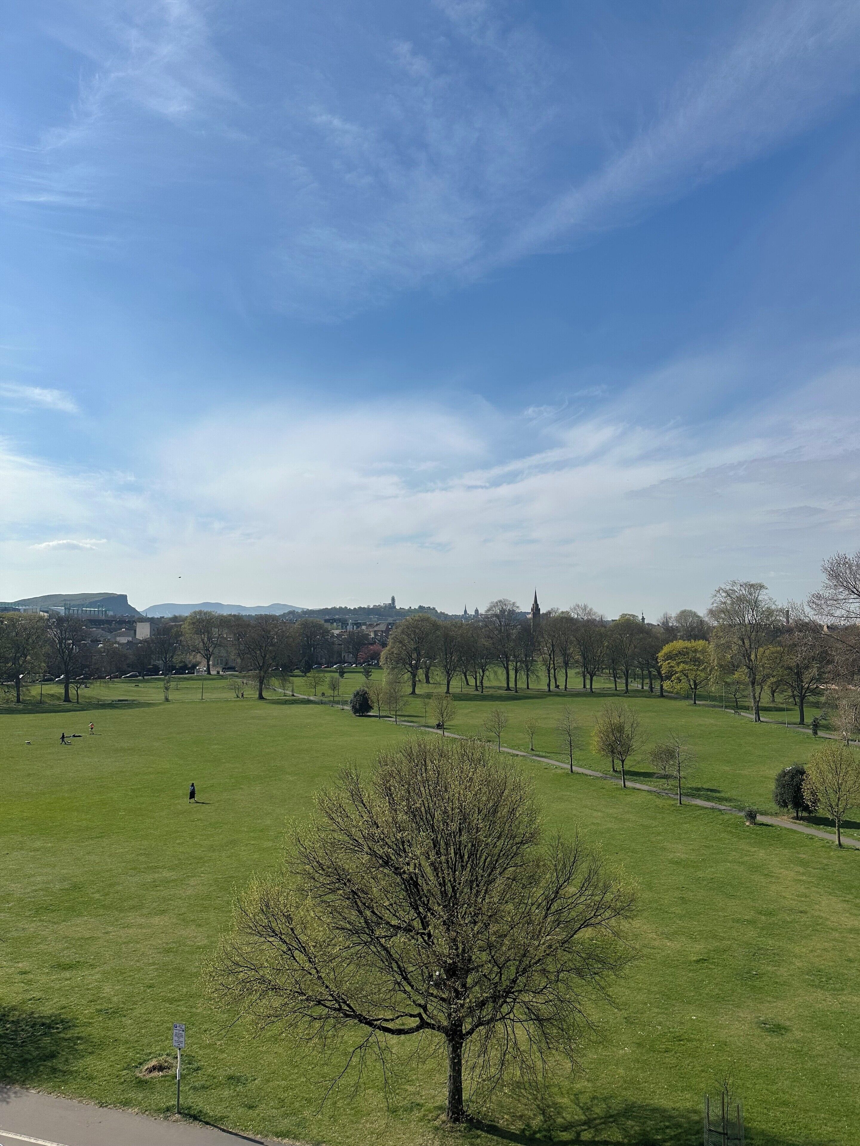 A large open grassy field with a few trees and a distant building.
