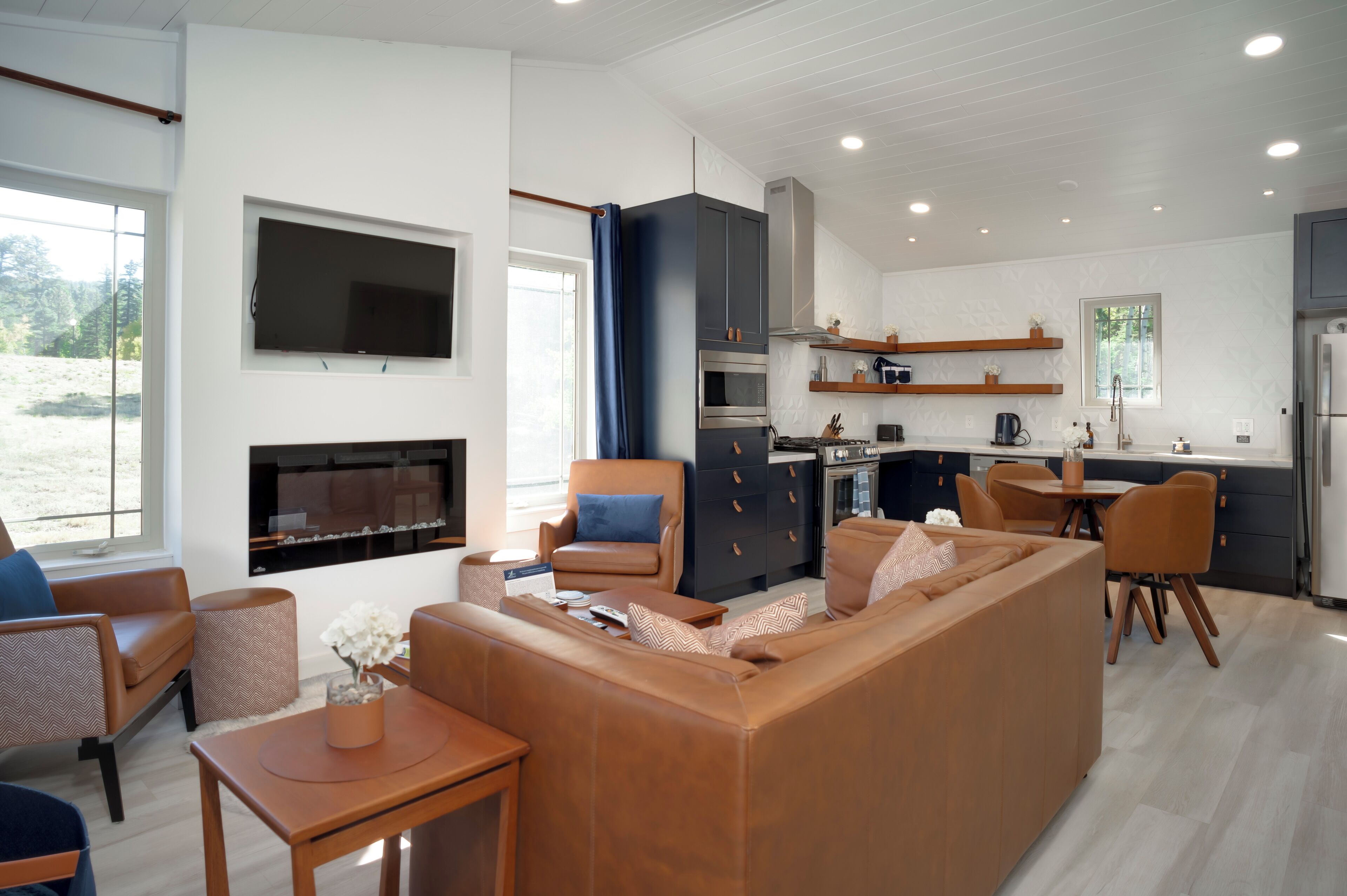 Téléviseur connecté, foyer, livres