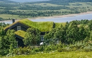 Miscellaneous - 5 bedroom amazing home in Rauland (Rauland)