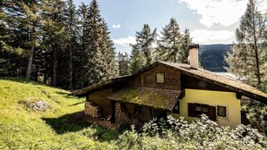 A rustic wooden house with a sloped roof, surrounded by dense forest and a mountain in the background. - Chalet 'Am Reschensee' with Lake View, Private Terrace and Private Garden (Resia)