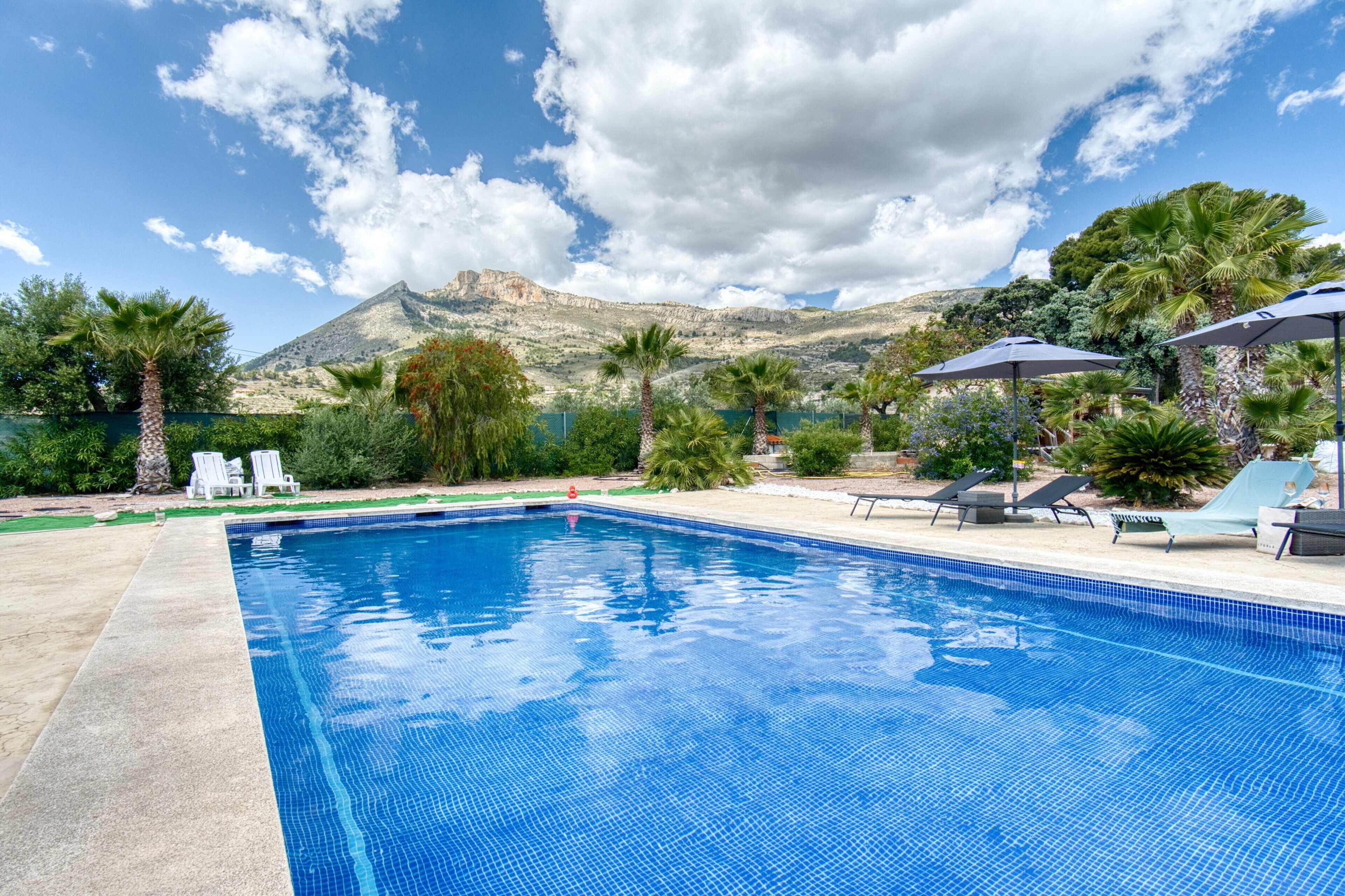 Une piscine entourée de verdure, avec des chaises longues et des parasols, et offrant une vue sur la montagne.