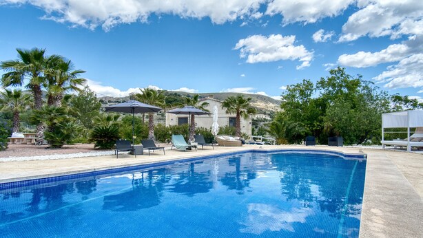 Une piscine avec des chaises longues, des palmiers et un bâtiment en arrière-plan.