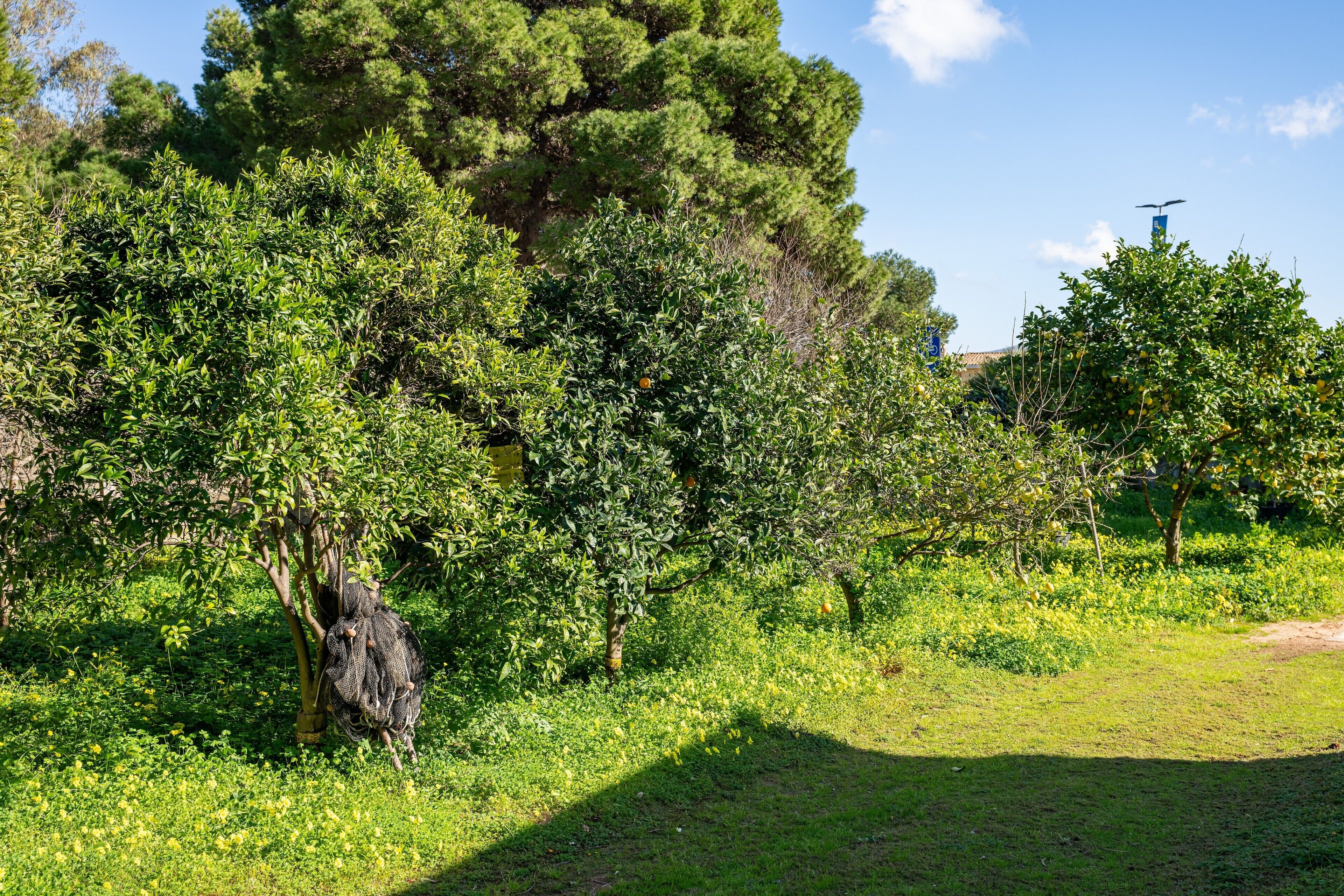 Áreas de la propiedad