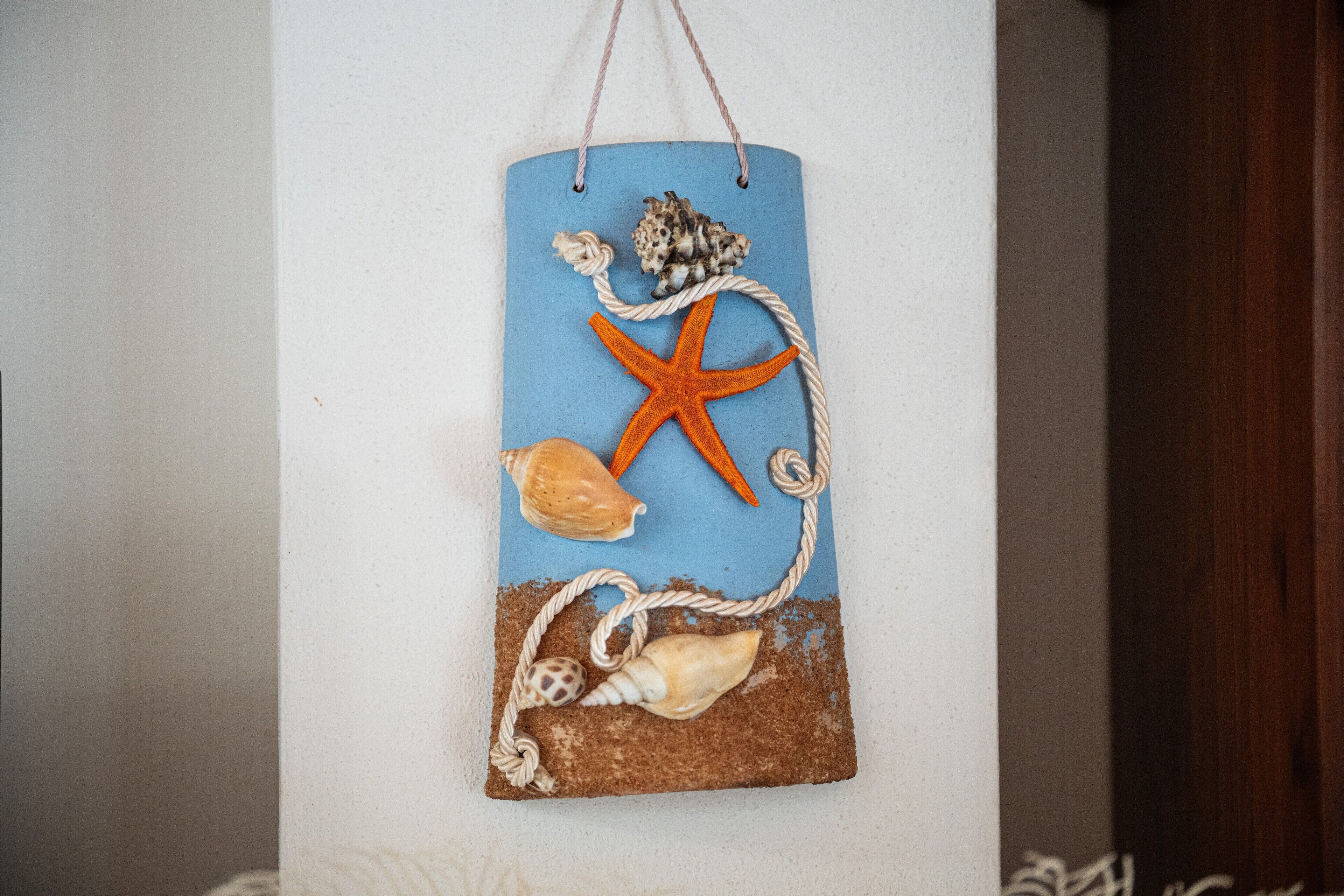 A wall decoration with a starfish, seashells, and a rope.