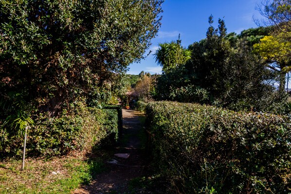 A narrow pathway flanked by dense foliage, leading into a natural landscape.