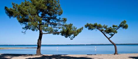 Plage à proximité
