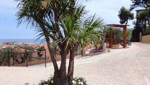 Eine Palme mit Kiesweg und weißen Blüten in einer angelegten Grünanlage.