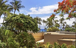 Property grounds - Luxurious Kaanapali Alii 232
Hotel (zone) — 5* Resort Services — Privately Owned (Lahaina)