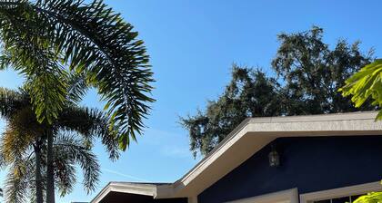 Modern Tiny home Tampa Fl