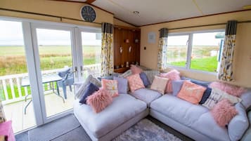 Télévision, cheminée, lecteur de DVD