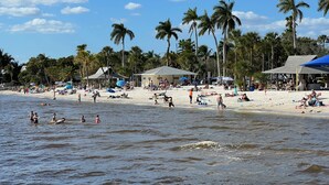 A beach with palm trees, umbrellas, and people relaxing.