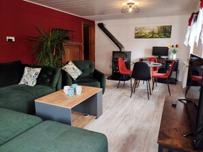 Télévision, cheminée, lecteur de DVD