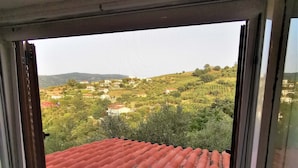 Una ventana con vistas a un tejado rojo y un paisaje verde con edificios.