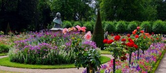 Le Savana - Rénové & Centre-ville