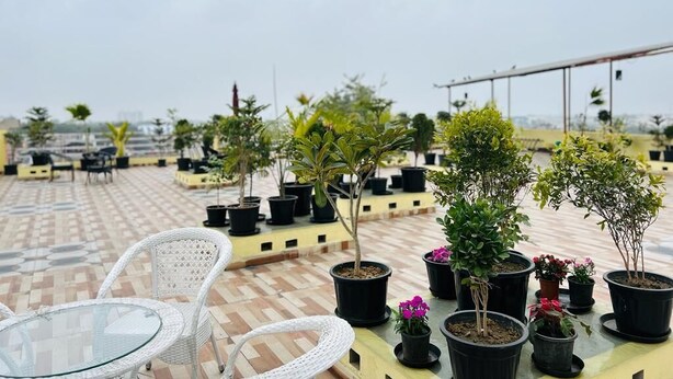A rooftop terrace with potted plants, white wicker chairs, and a glass table. - Cohouse (Bawal)