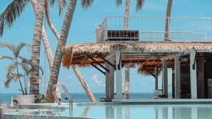 A pool area with a thatched roof structure, palm trees, and a clear view of the ocean.