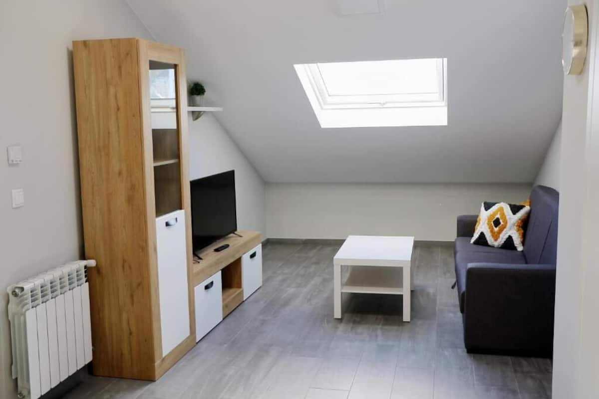 A modern loft apartment with a sloped ceiling, a skylight, a built-in wooden wardrobe, a white coffee table, a dark sofa, and a radiator on the floor.