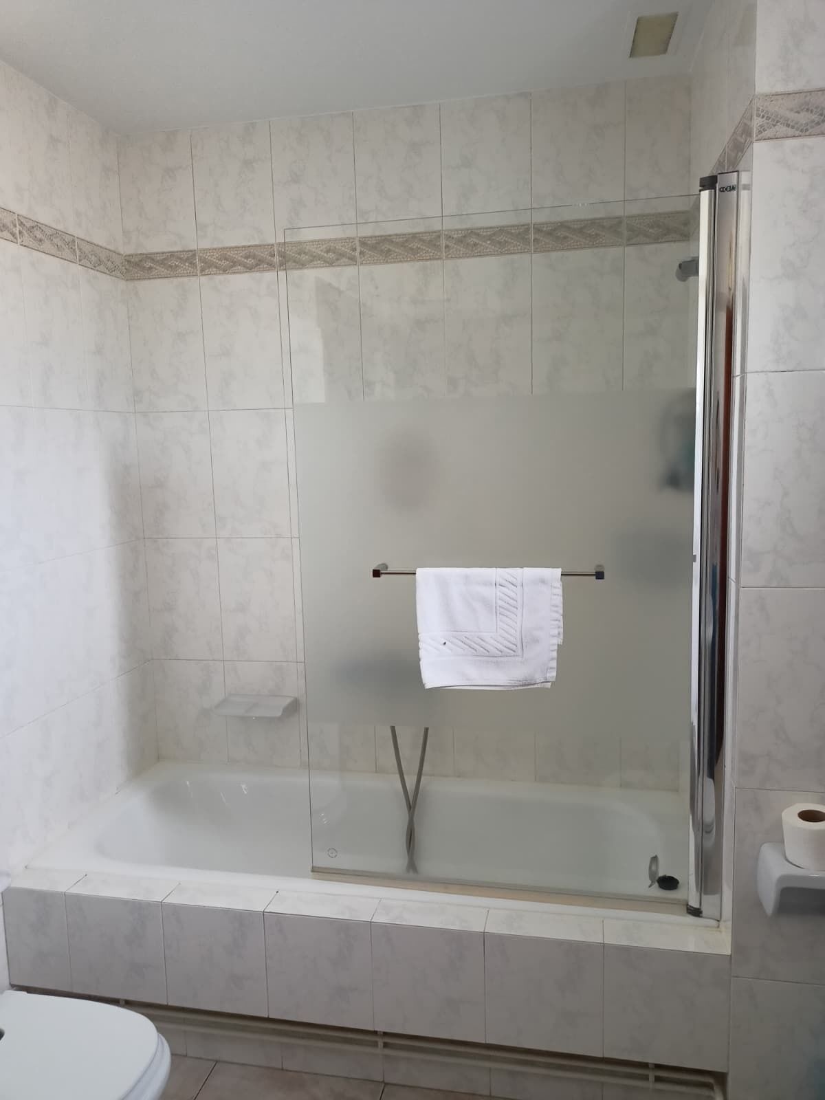 Un baño con ducha de vidrio, una toalla blanca en un perchero y un inodoro.