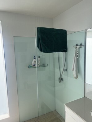 Shower, hair dryer, towels, soap