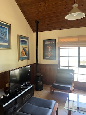 Smart TV, DVD player, books, music library