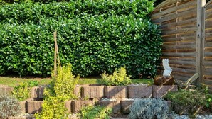 Un jardin avec un mur en pierre, différentes plantes et une clôture en bois.