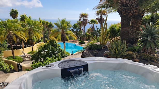 A hot tub surrounded by tropical plants and a pool, with a clear view of the ocean in the background.