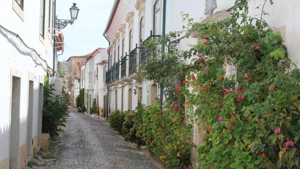 Calle empedrada flanqueada por edificios blancos, algunos con balcones y vegetación.