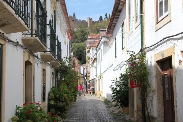 Una estrecha calle empedrada flanqueada por edificios con balcones y un castillo al fondo.