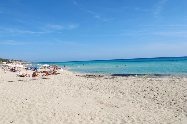 Nära stranden
