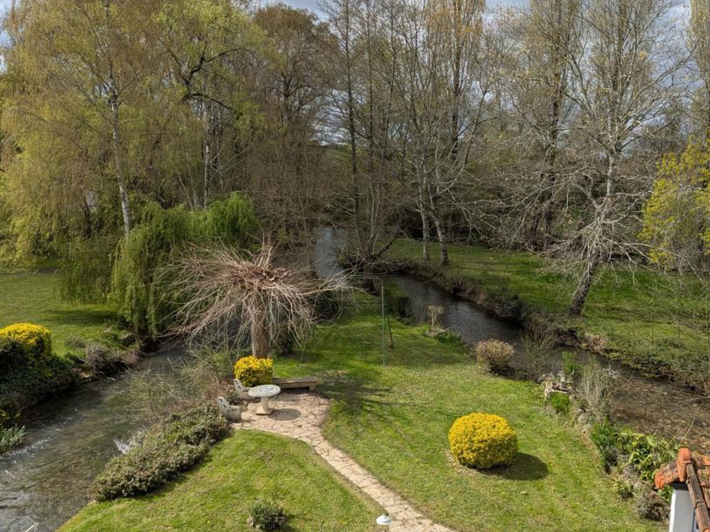 Un jardin agrémenté d’un bassin, de sentiers et de divers arbustes.