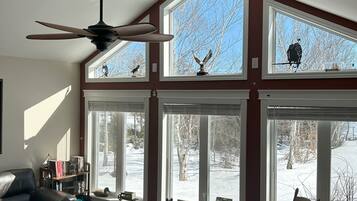 Télévision, cheminée, chaßne hi-fi