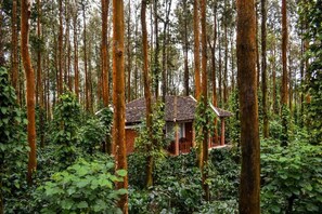 Exterior - Nexstay Coffee Grove Resort (Chikkamagaluru)